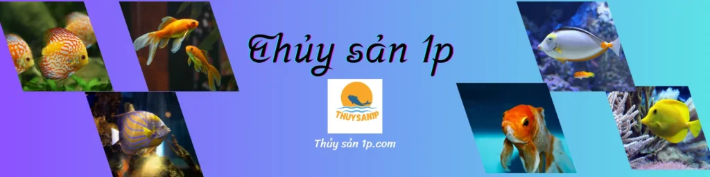 Thủy sản 1p