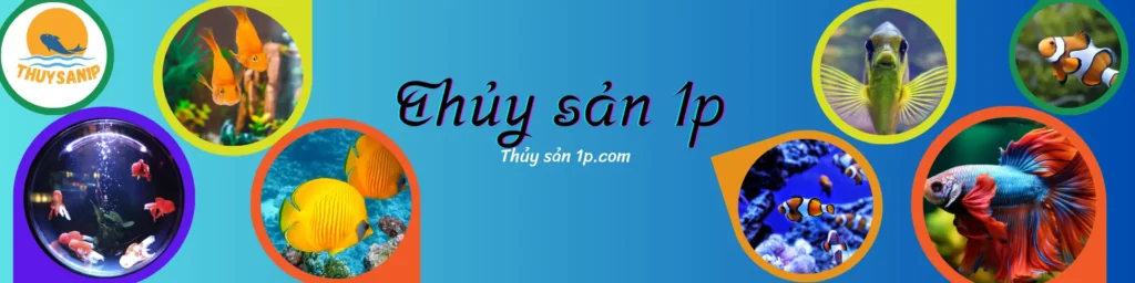 Thủy sản 1p