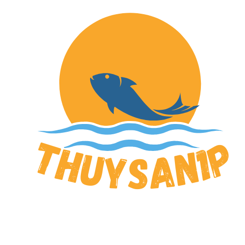 thuysan1p.com