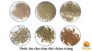 Thức ăn cho tôm thẻ chân trắng